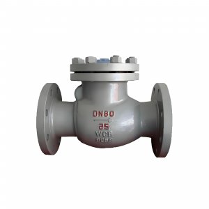 DN50 PN25 介質(zhì)：甲胺，溫度：80℃止回閥